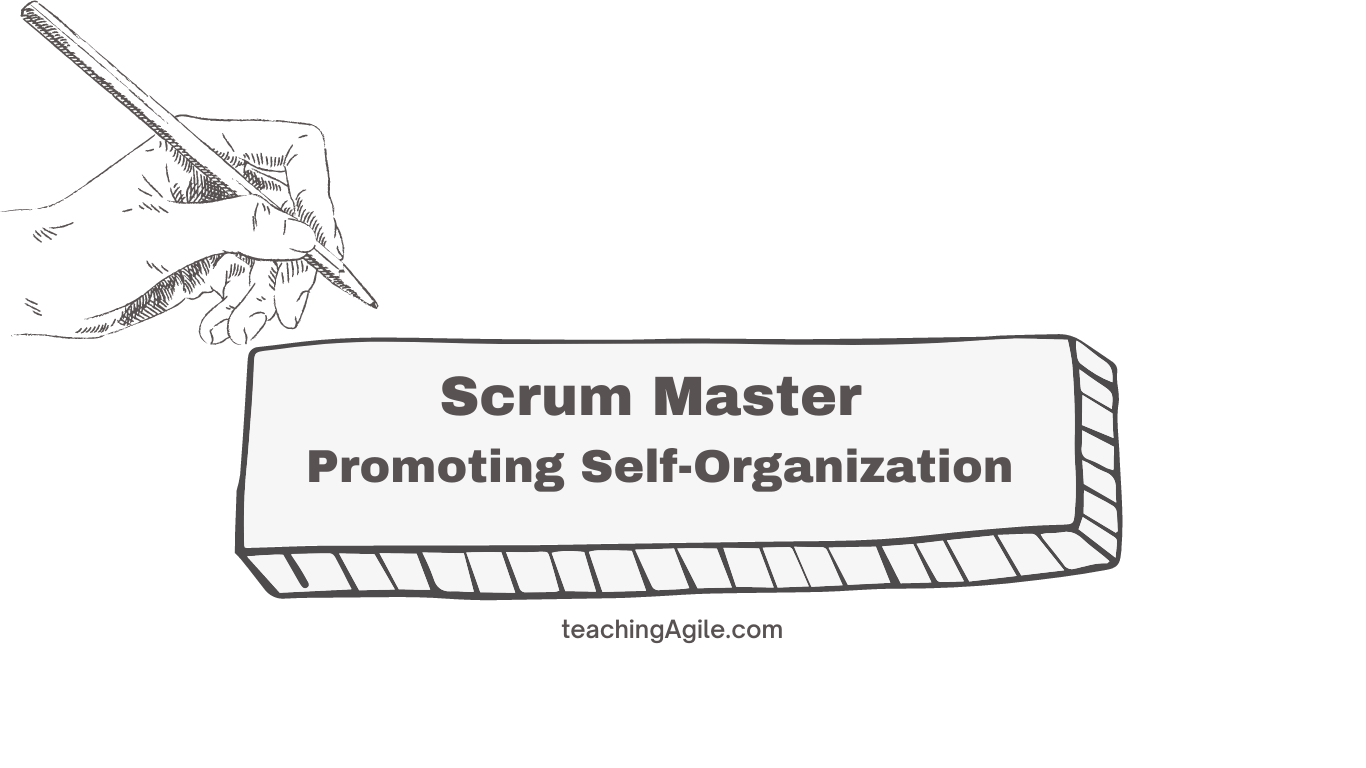 Scrum Master: Promoting Self-Organization