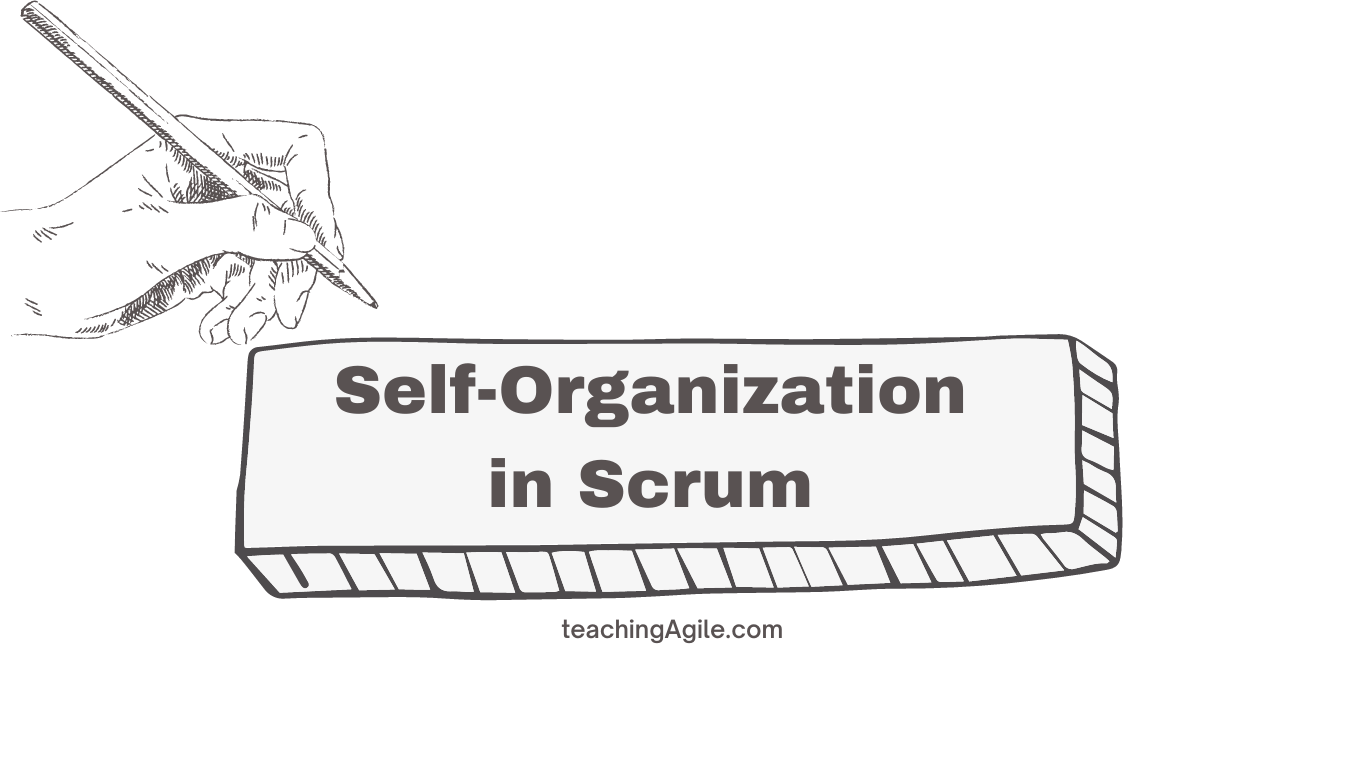 The Power of Self-Organization in Scrum Teams